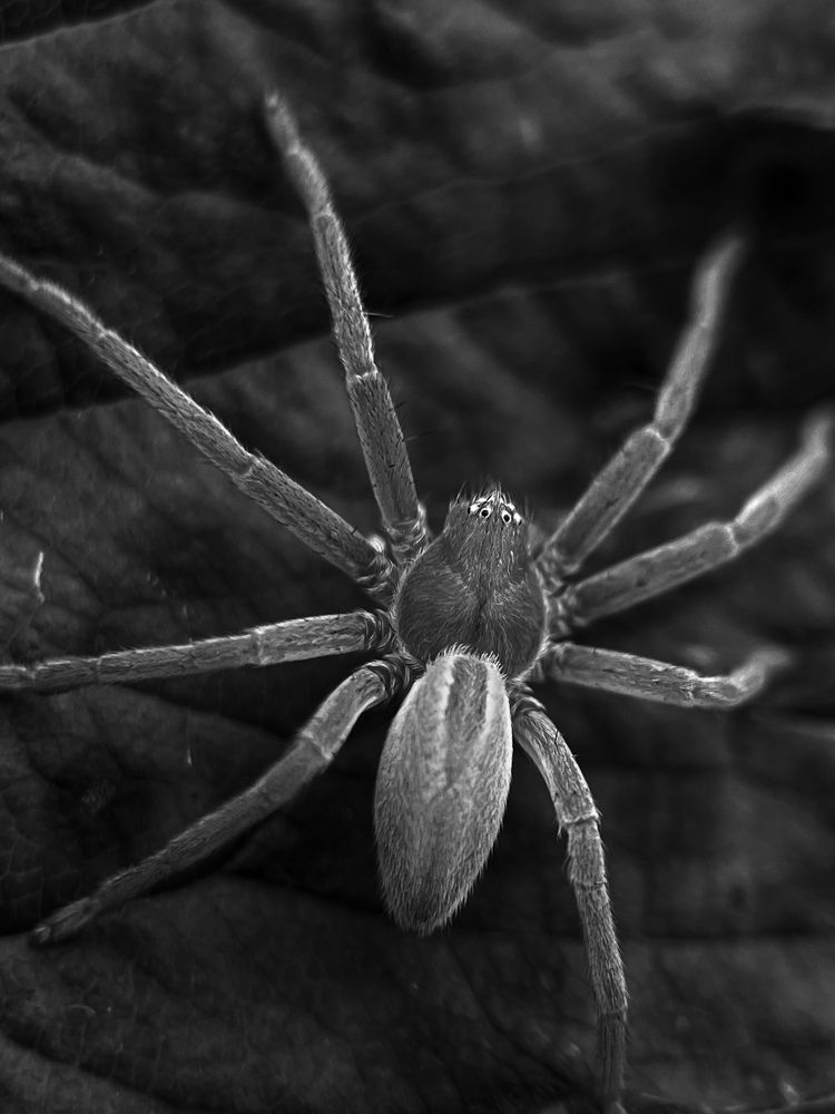 Photograph by Юлия Максимова