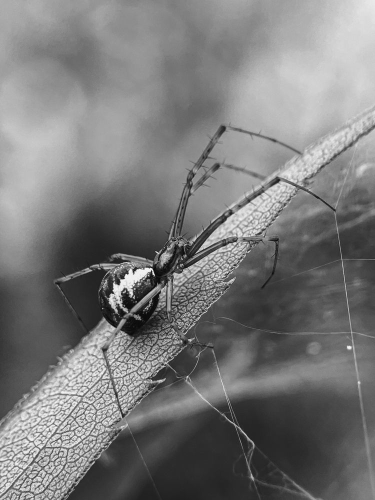 Photograph by Юлия Максимова