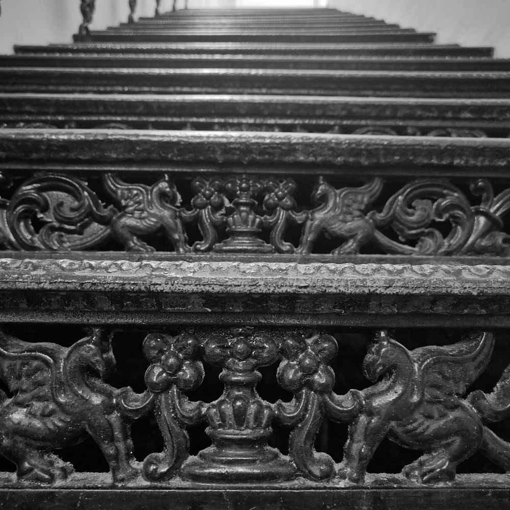 Photograph by Полина