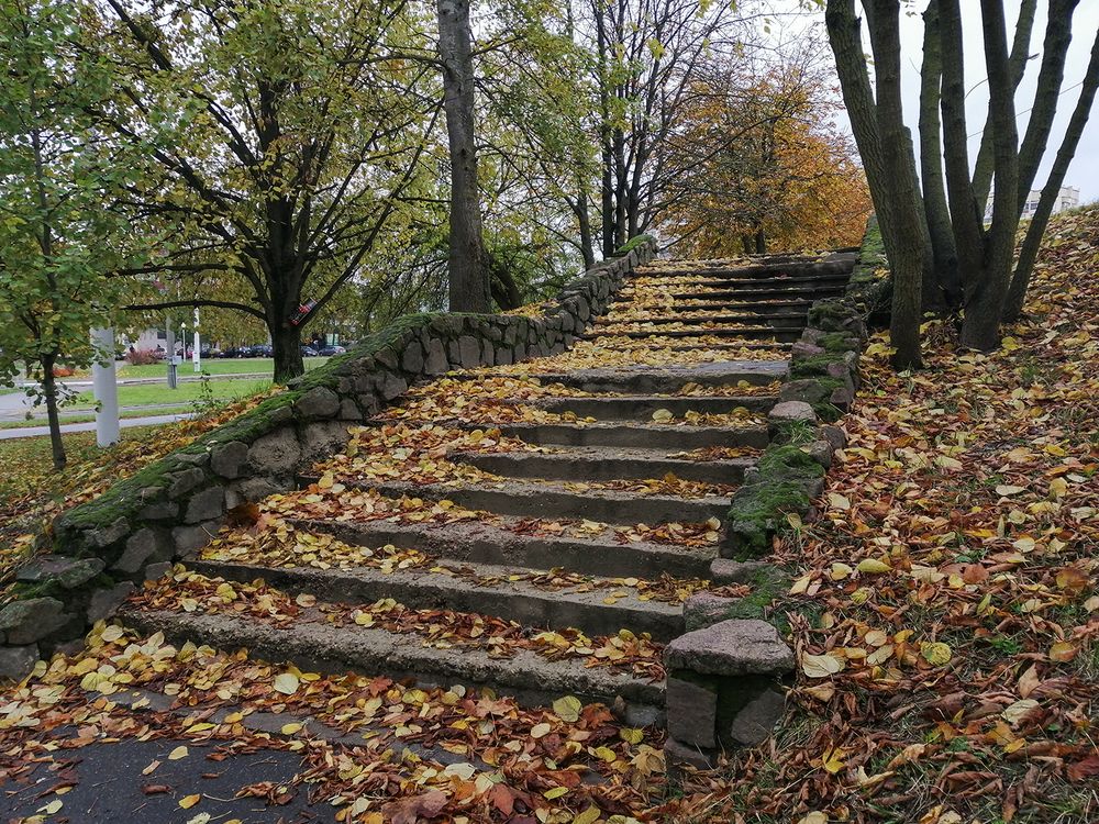 Фотография автора Борис Журавлёв