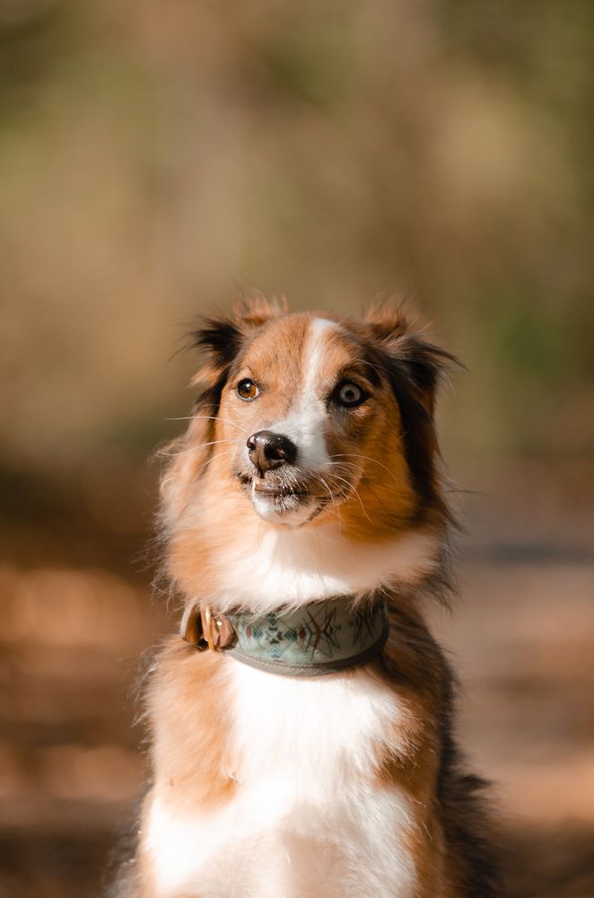 Photograph by Алиса Пономаренко