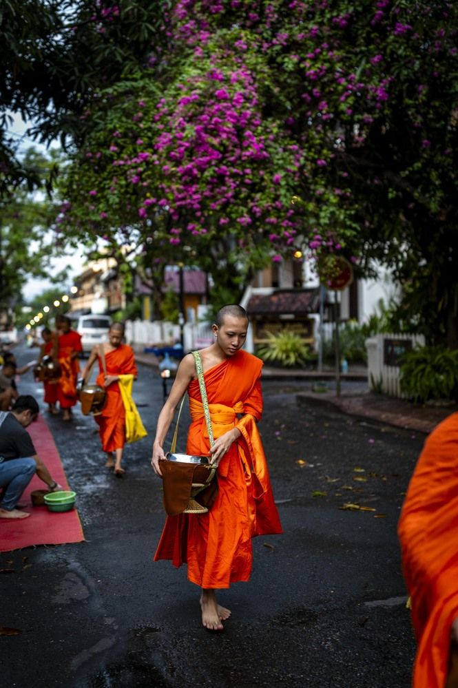 The monks walk