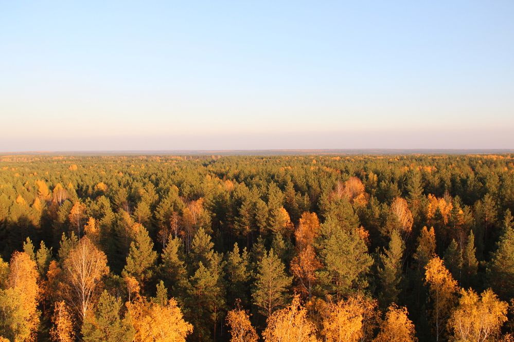 Photograph by Герасимов Игорь