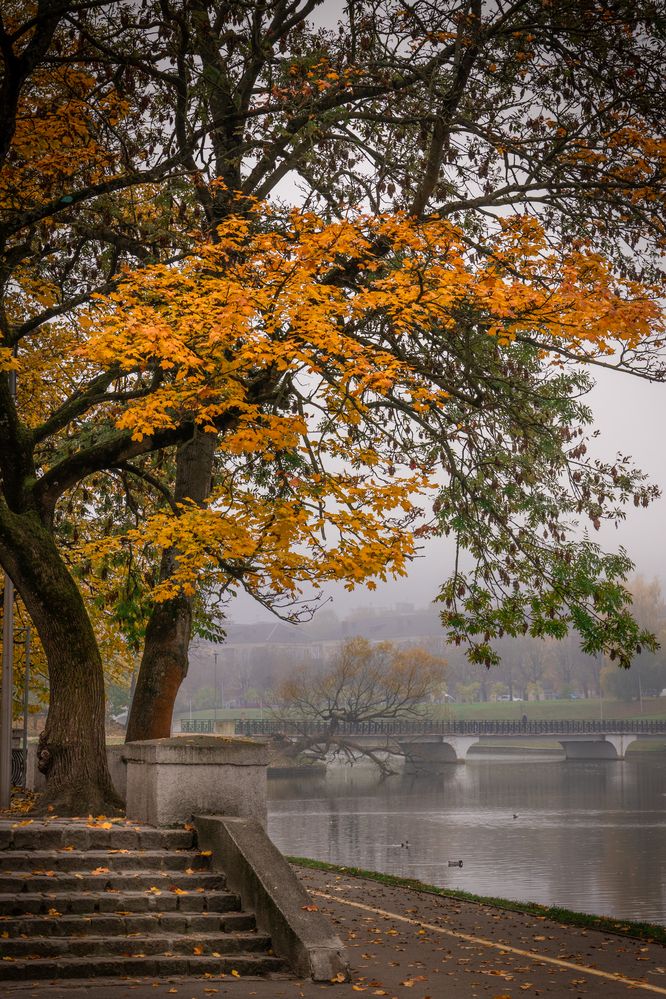 Photograph by Юрий Руднев