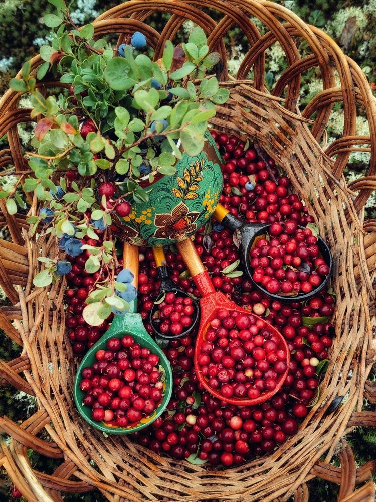 Photograph by Юлия Арестова