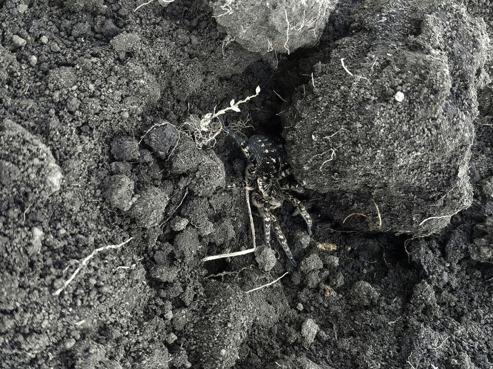 Photograph by Игорь Шевердин