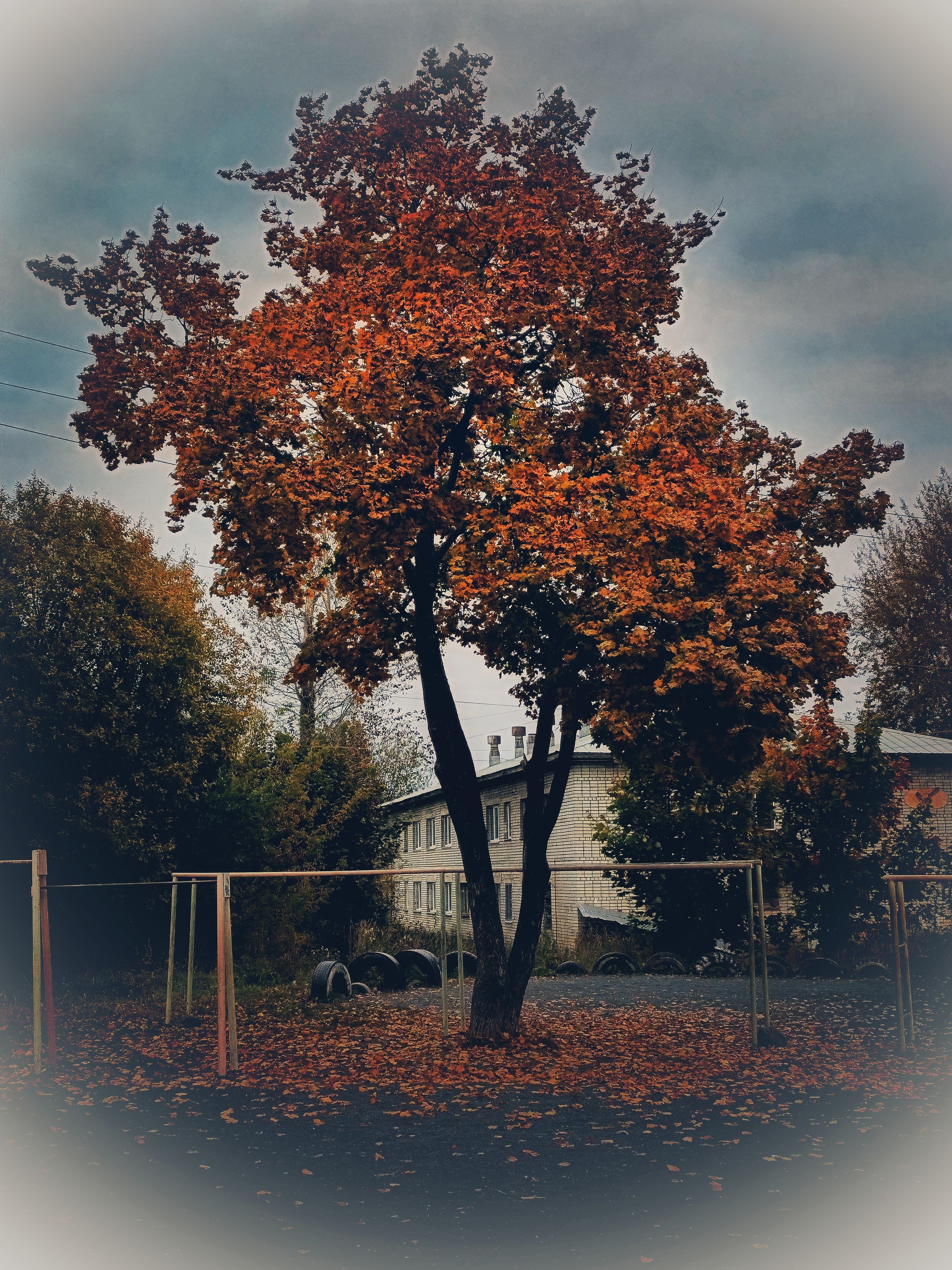 Photograph by Светлана Филина