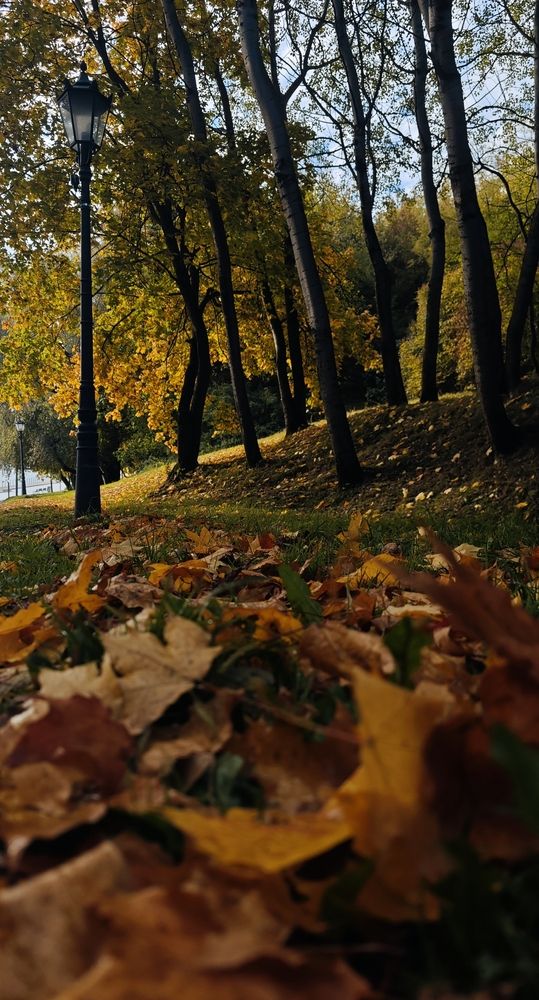Photograph by Кристина Куликова
