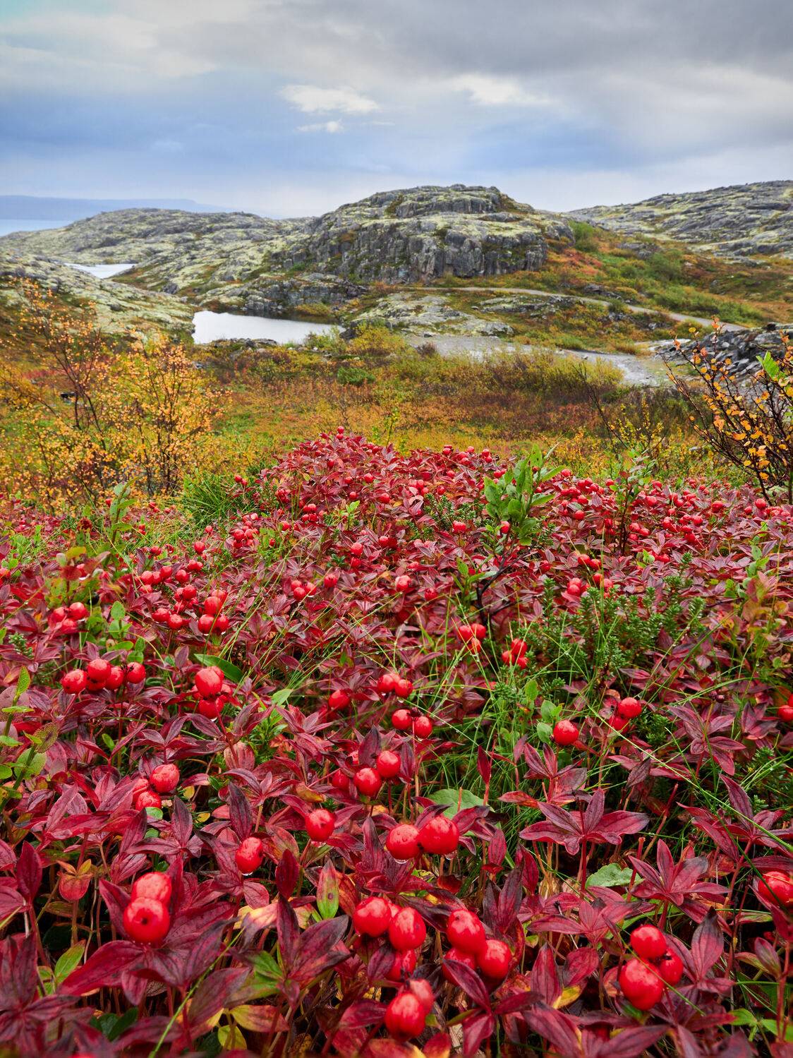 Фотография #12662989