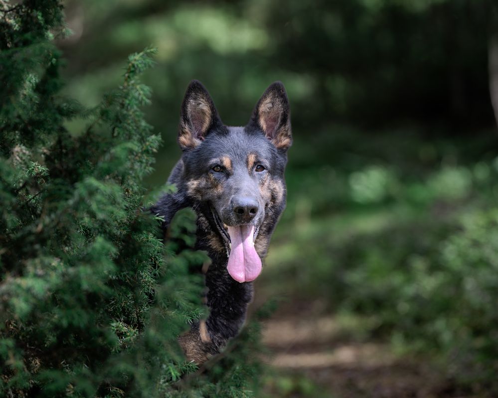 Photograph by Сергей Жиркевич