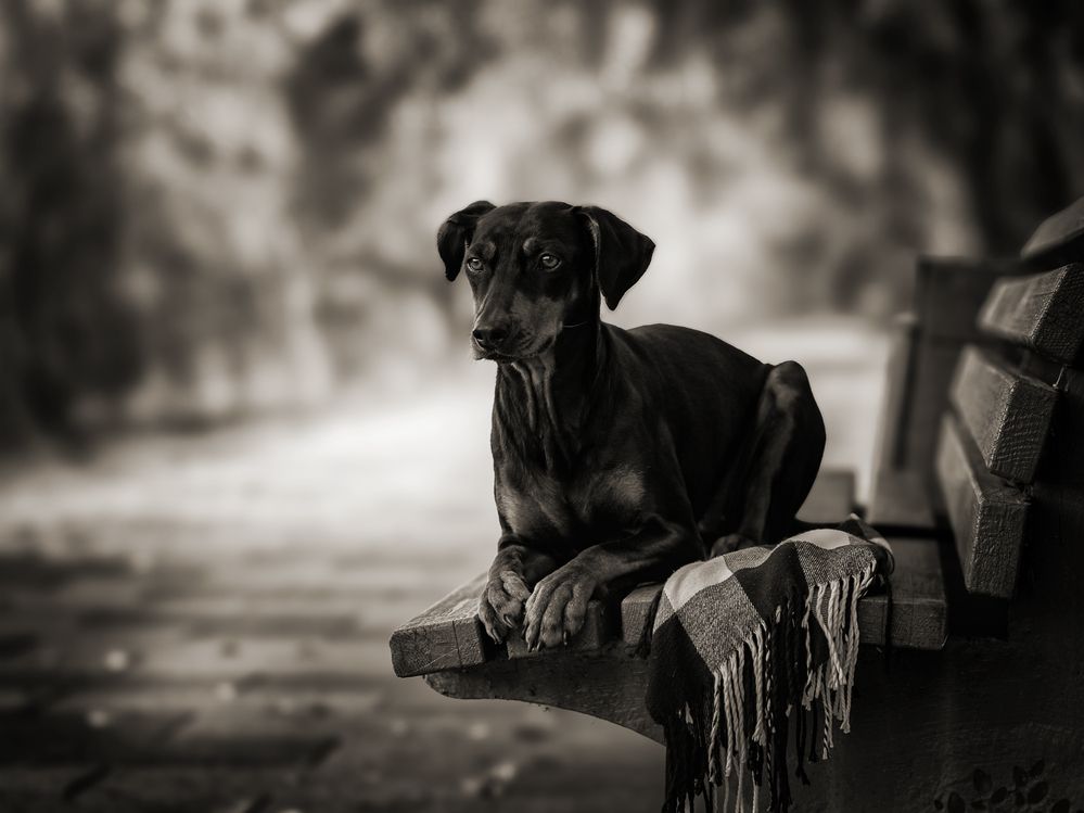 Autumn melancholy