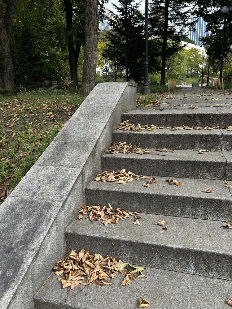 Photograph by Игорь Павель