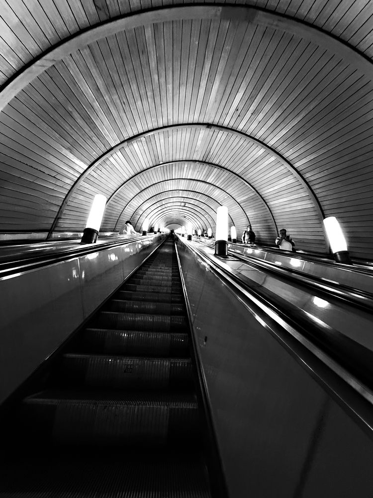 Photograph by Елена Чулюнина