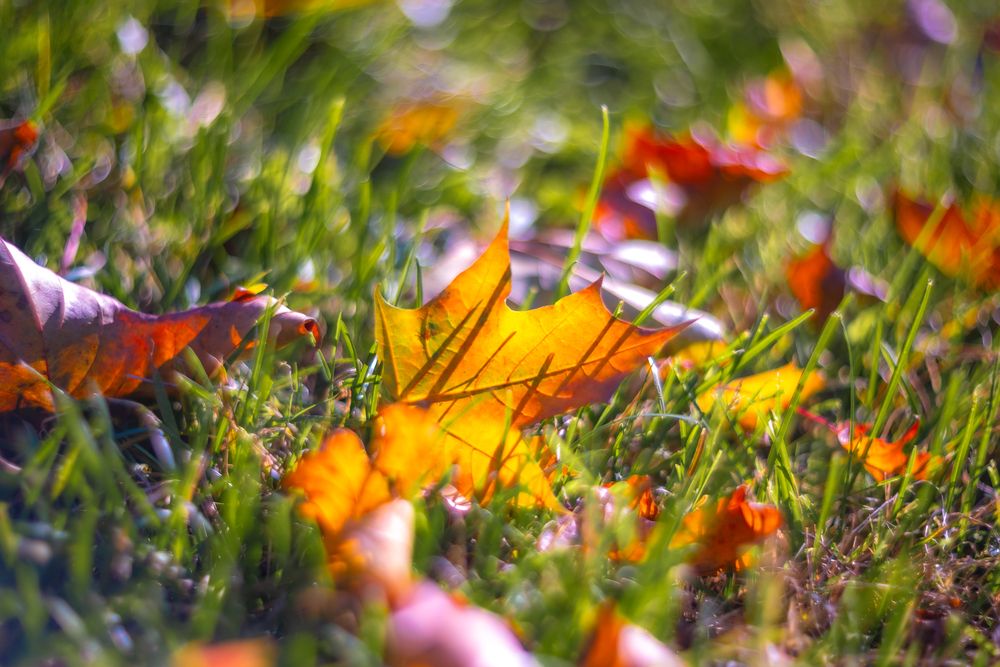 Фотография автора Артём Слепухин