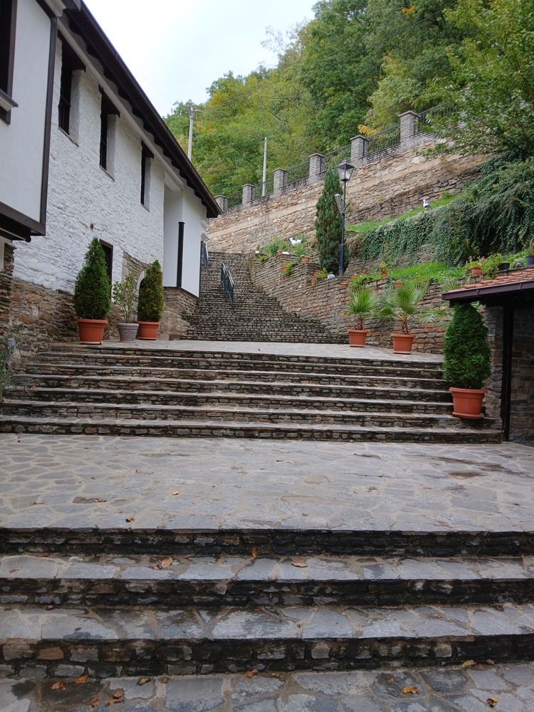 Photograph by Bojan Nikolovski