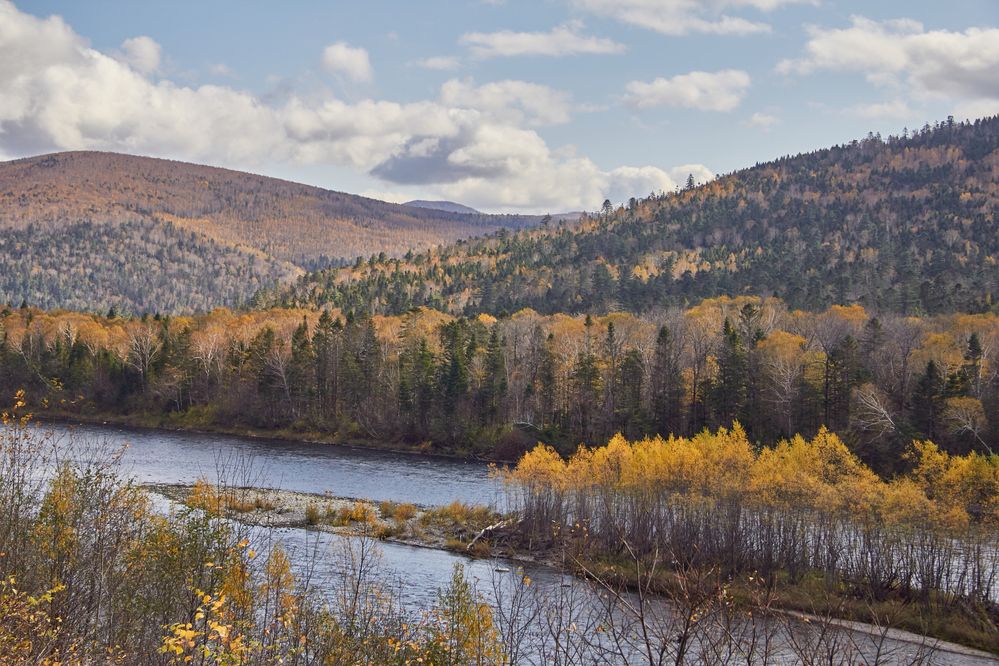 Фотография автора Наталия Мащенко