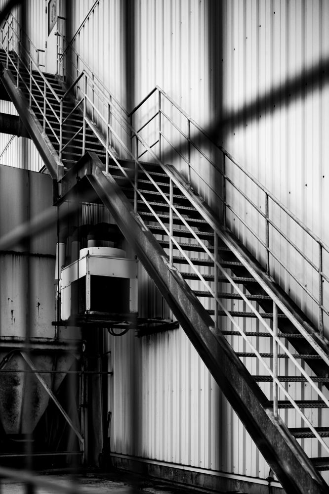 Photograph by Suzuki Ryuta