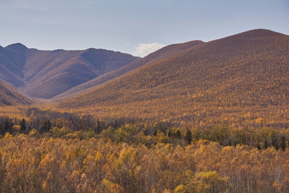 Фотография автора Наталия Мащенко