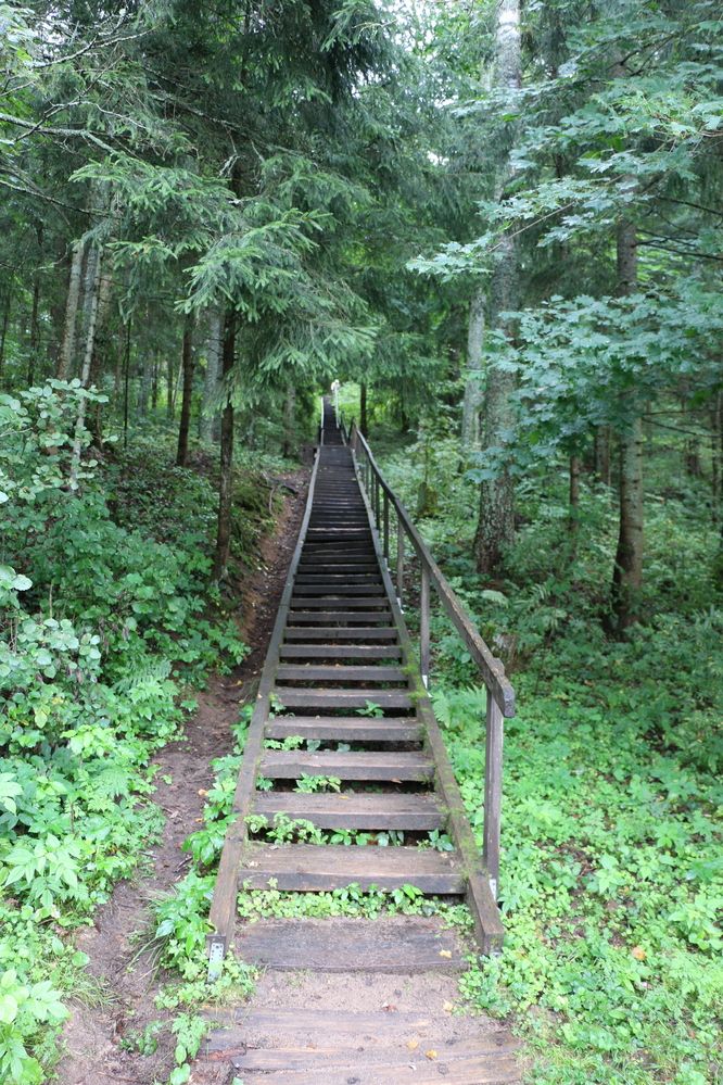 Фотография автора Sparc-jr