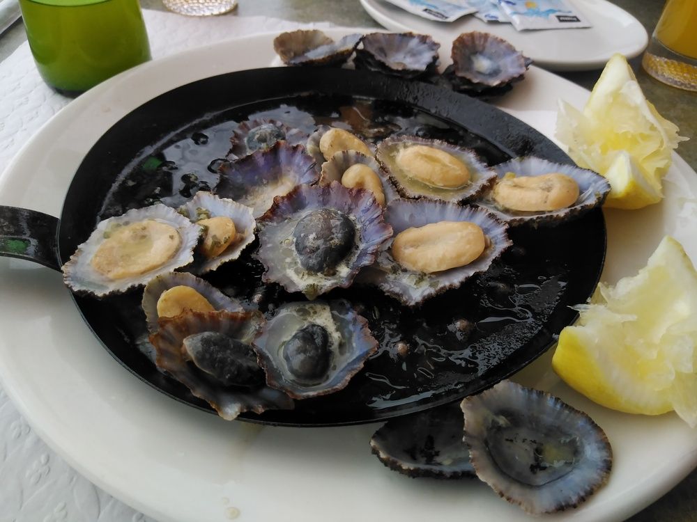 Photograph by Francisco Ferreira