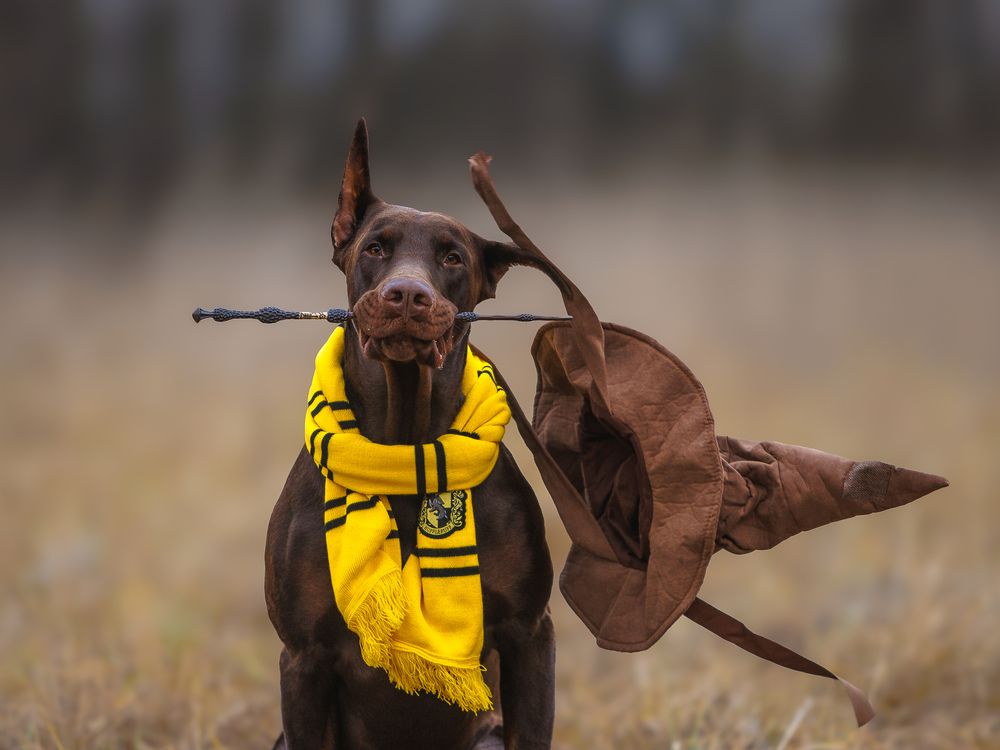 Photograph by Мария Клещенко