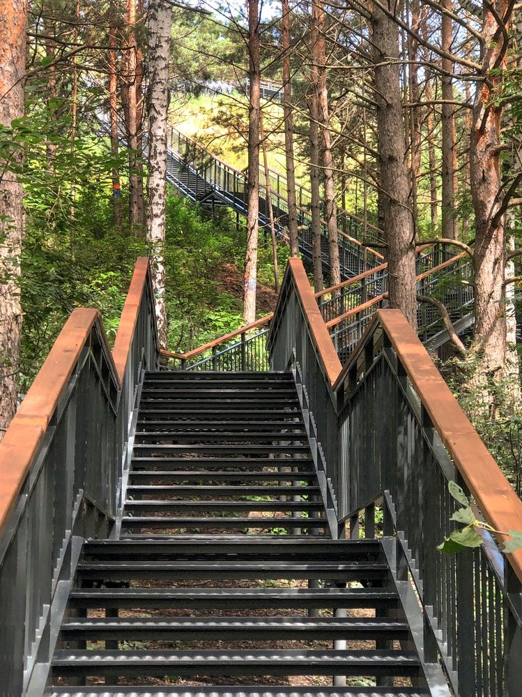 Фотография автора Светлана Гончарова