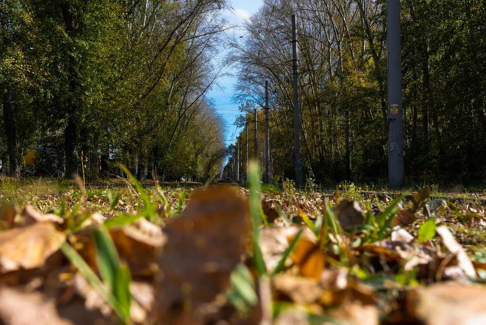 Photograph by Евгения Сенченко
