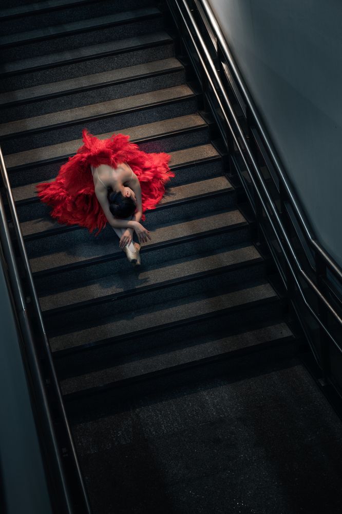 Photograph by Tuấn Nguyễn Tấn