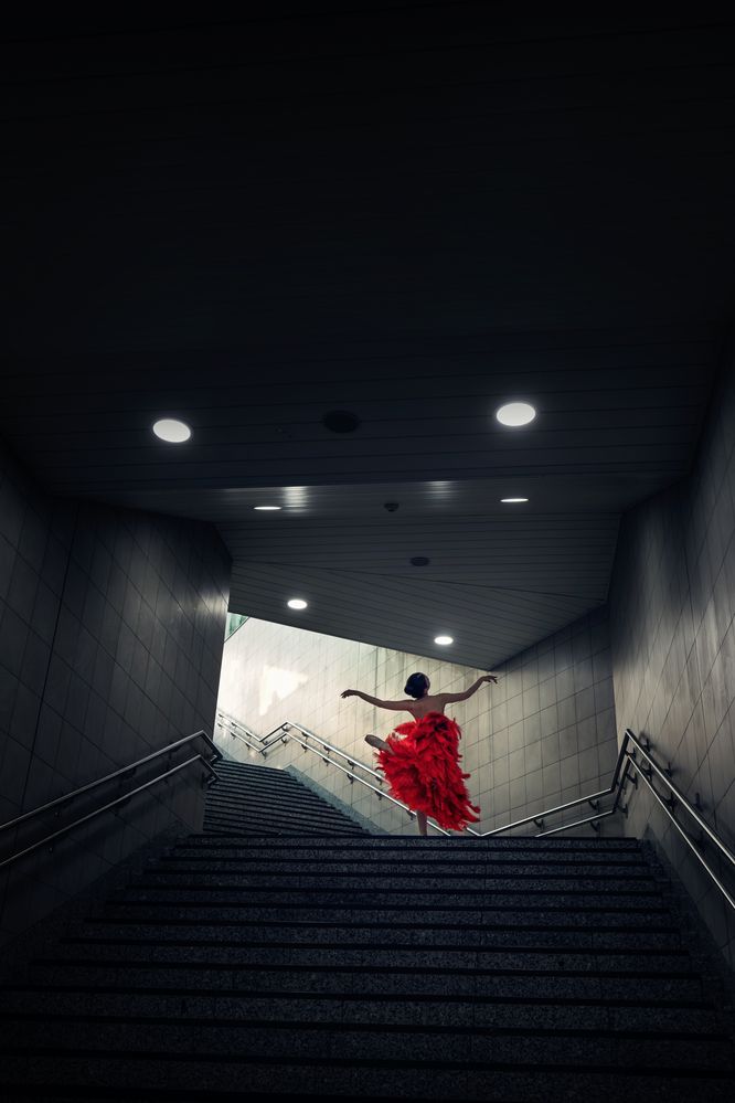 Photograph by Tuấn Nguyễn Tấn