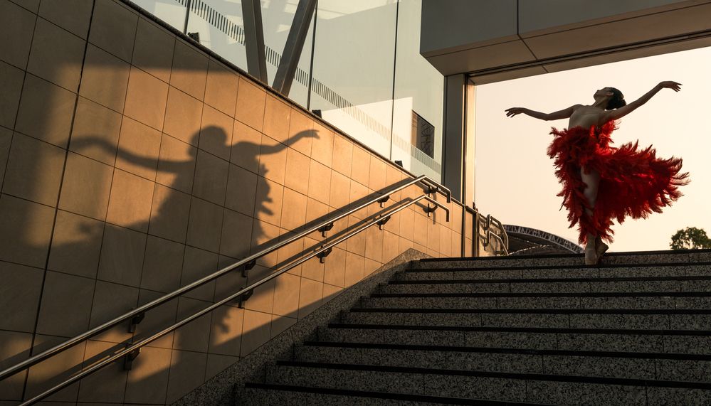 Photograph by Tuấn Nguyễn Tấn