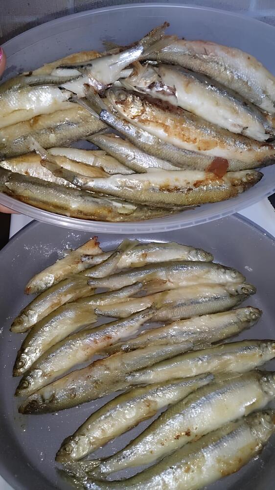 Photograph by Антон