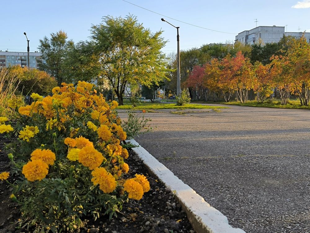 Фотография автора Александр Осинцев