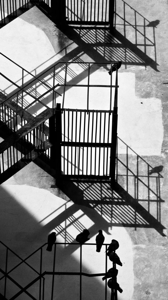 Photograph by Elina Nersesova