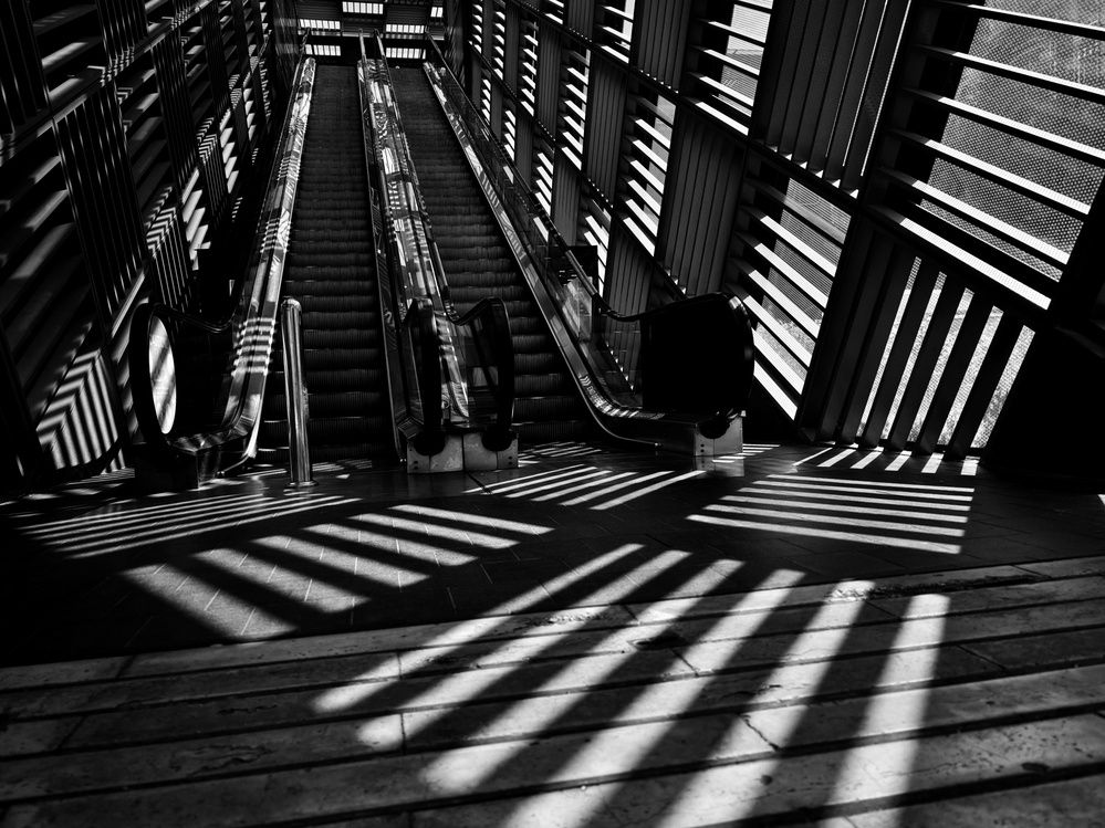 Photograph by Siew Chee chung