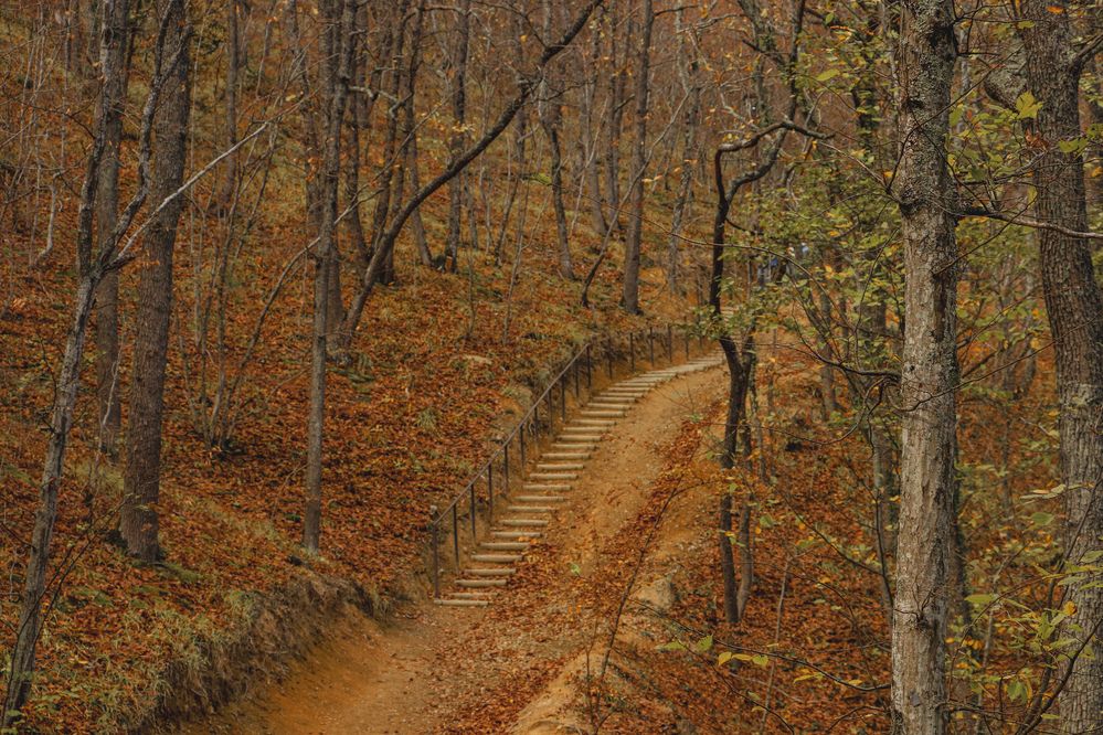 Photograph by Христина Сергейчик