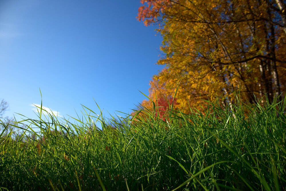 Photograph by Максим Карпович