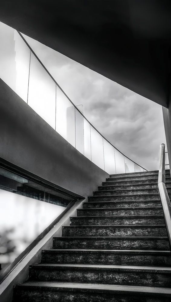 Photograph by حنان همام أحمد عبد الرحمن