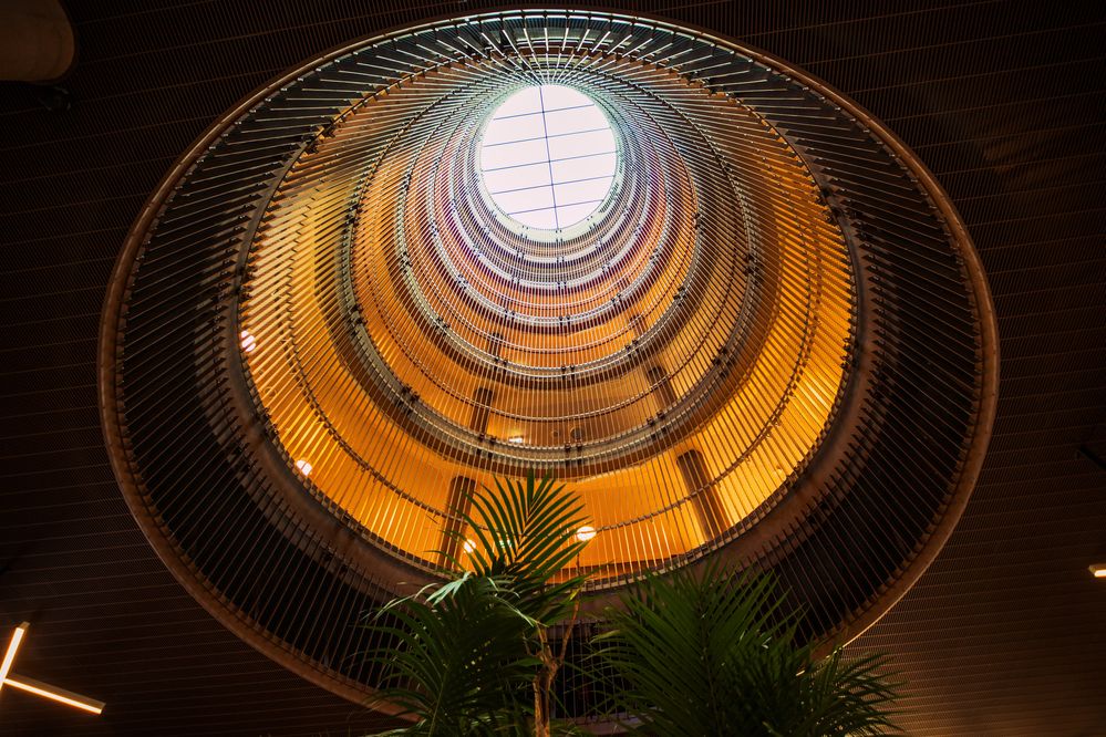 Photograph by Krzysztof Kąsek