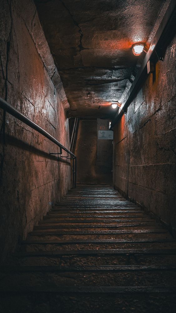 Фотография автора Евгений Былков