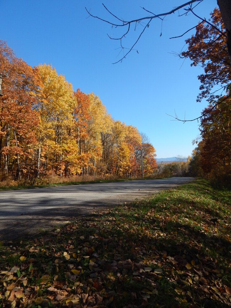 High way и ветка.