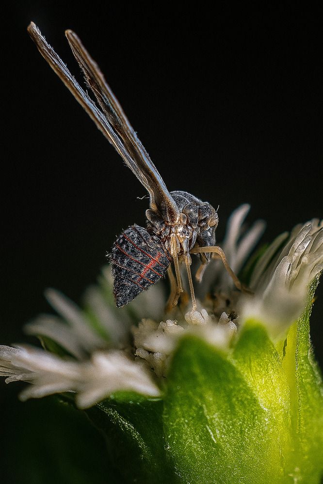 Photograph by Dewindu H. Fernando