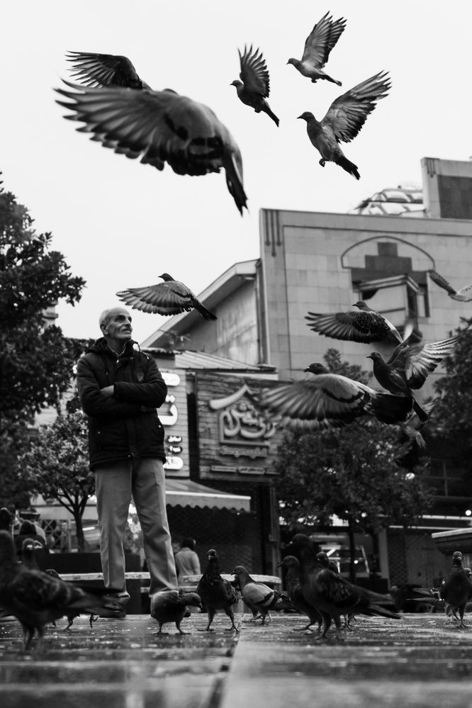 Photograph by Soheil Shahbazi