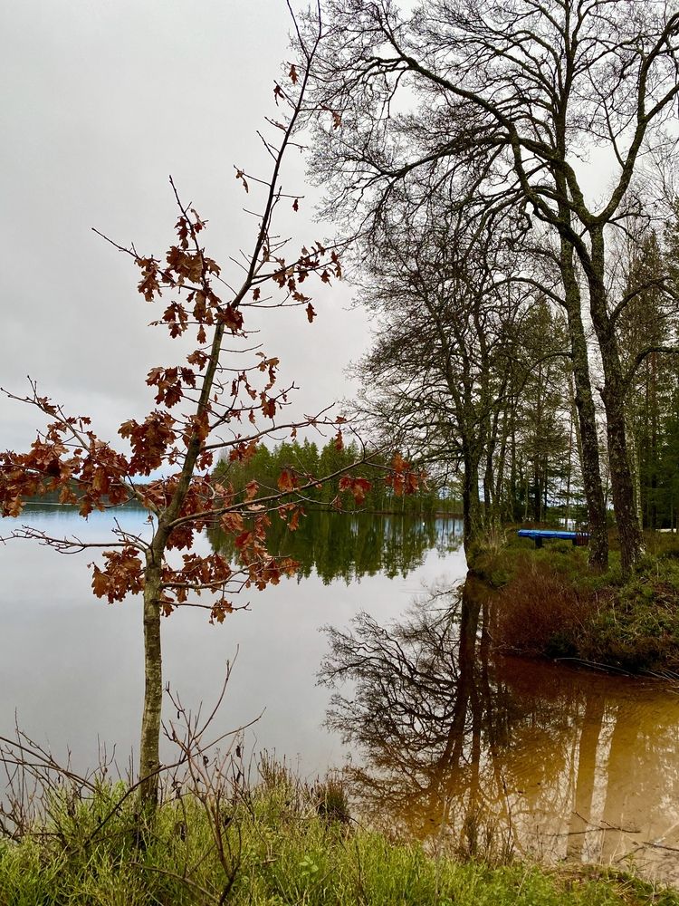 Photograph by Nune Pashayan