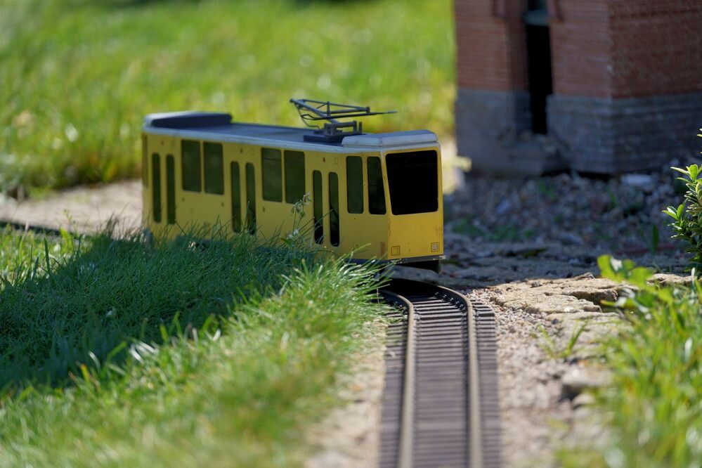 Фотография автора Sergej Roor