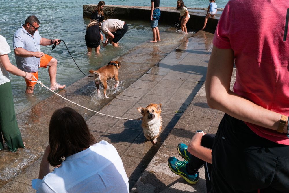 Photograph by Pierre Pauwels