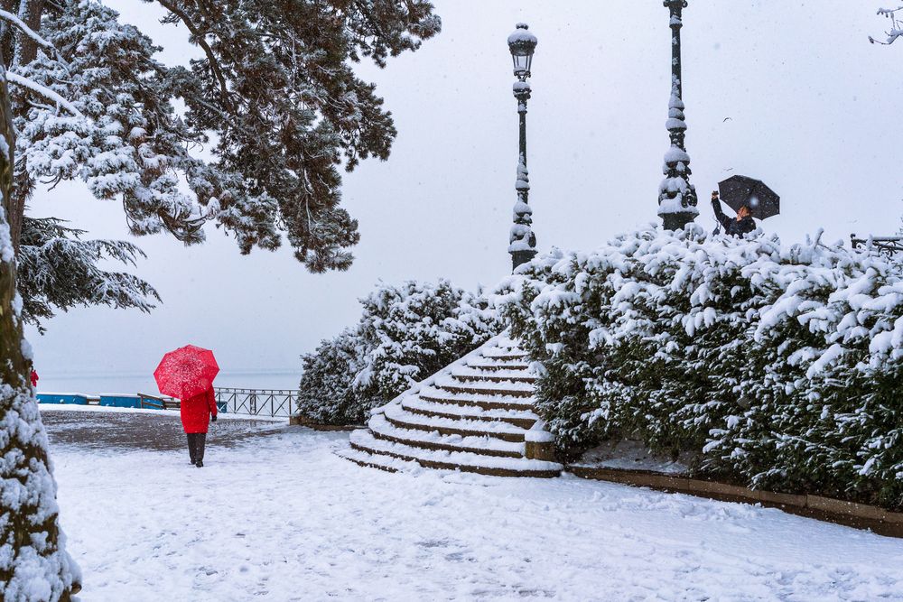 Photograph by Pierre Pauwels