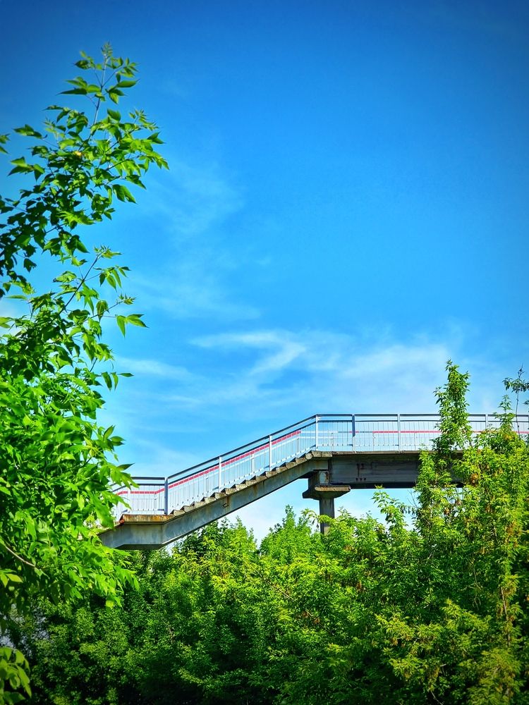 Photograph by Алена Самошина