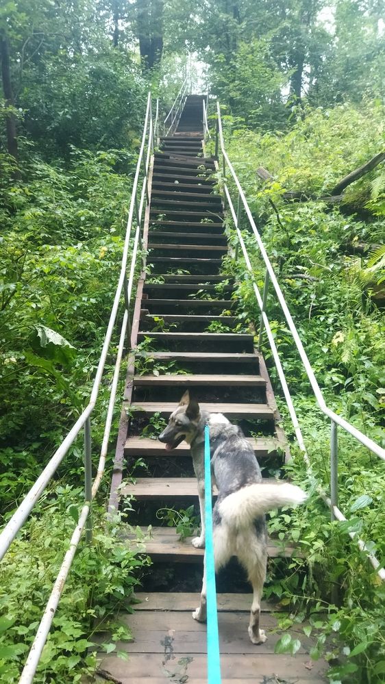 Photograph by Юлия Морозова