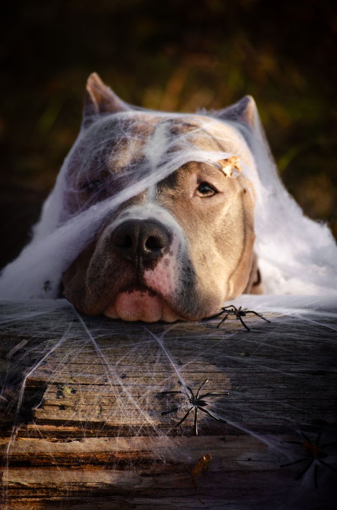 Photograph by Виктория