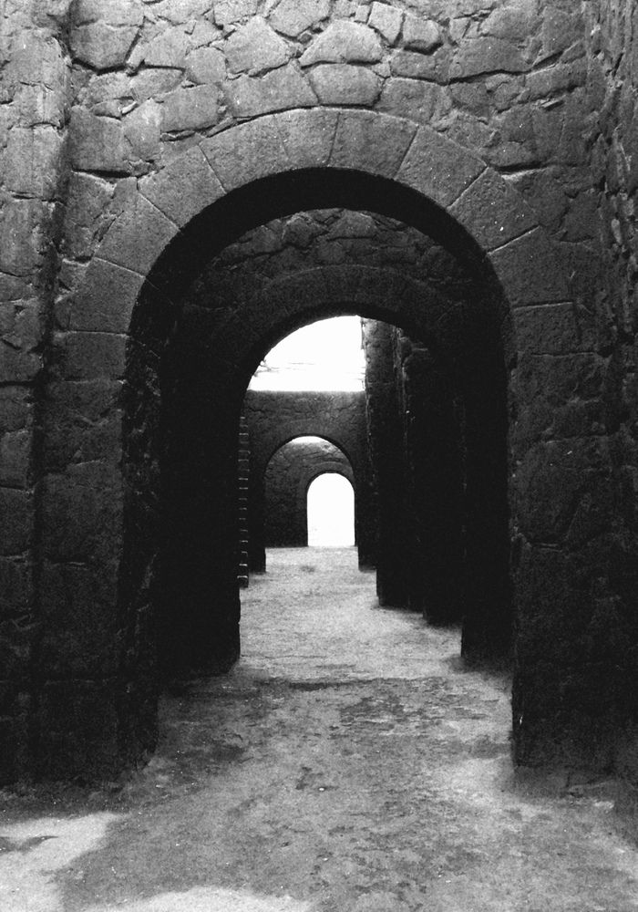 Photograph by Лариса Неудачина